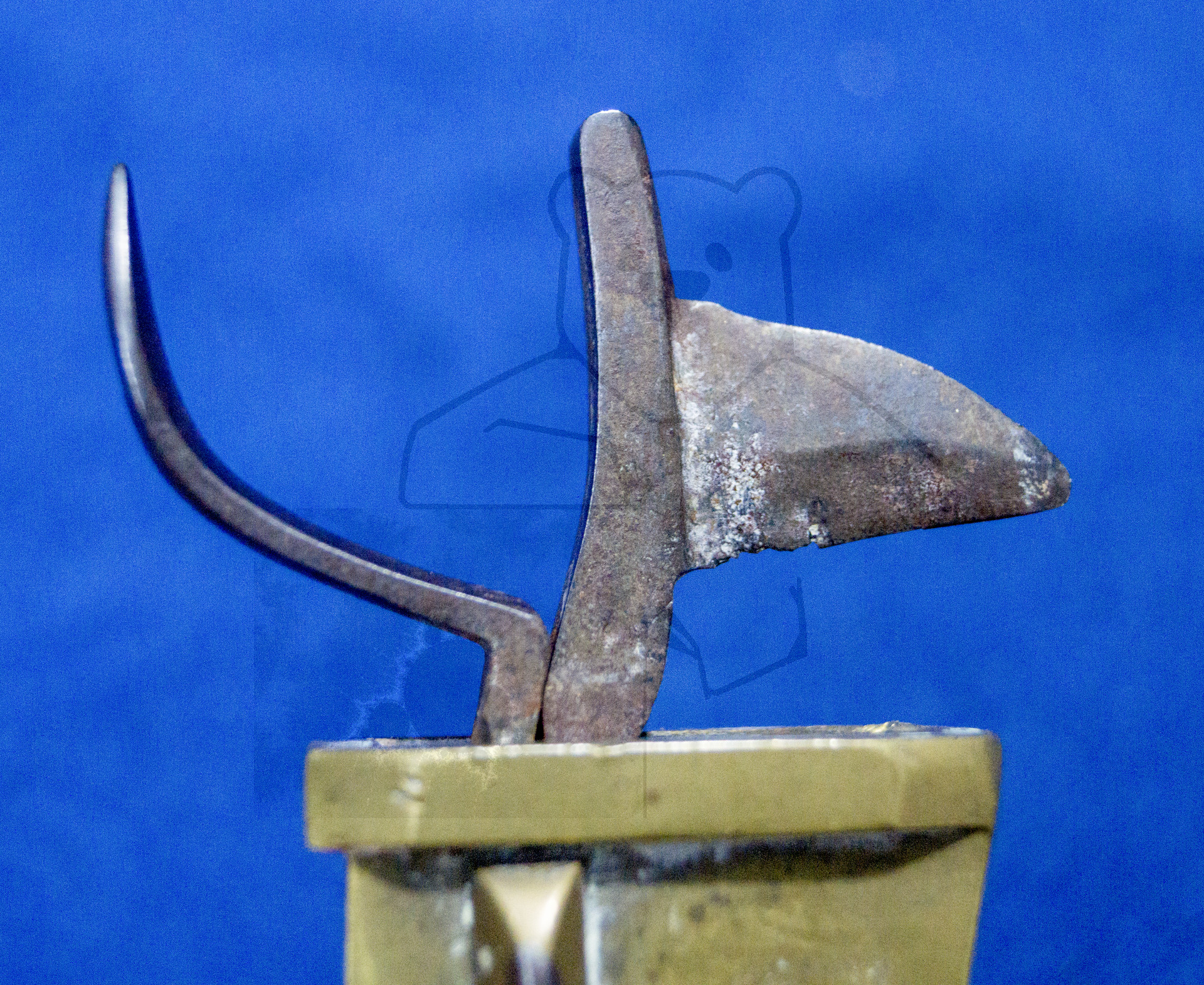 Aderlass Schnepper, ca.1850, Klinge im Detail, vorne